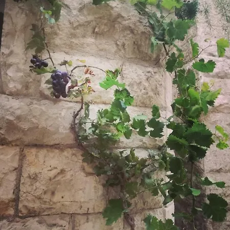 Bed & Breakfast Il Golfo Delle Sirene